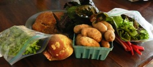 Week #8 CSA: Playing Catch Up