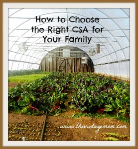 How to Choose the Right CSA for You and Your Family
