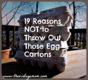 19 Reasons NOT to Just Throw Away Egg Cartons