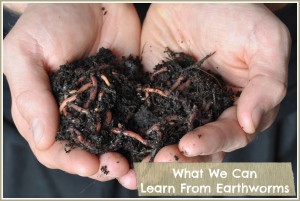 What We Can Learn From Earthworms