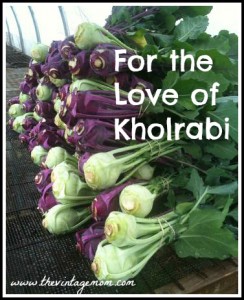 For the Love of Kholrabi – A Carrot and Kholrabi Slaw Recipe