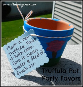 Lorax Truffula Pot Party Favors