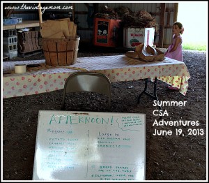Summer CSA Adventures ~ June 19th, 2013 {Locavore Living Link-Up}