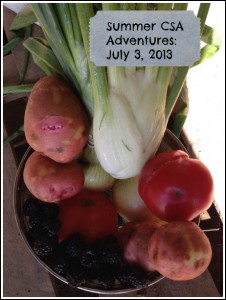 Summer CSA Adventures – July 3, 2013 {Locavore Living Link-Up}