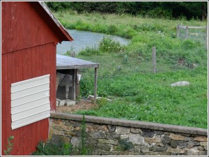 Thinking Differently About Food