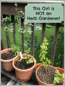 Lettuce and Herb Gardeners – That is Not Me and It is Okay!