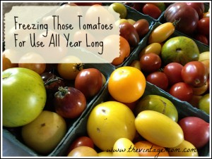 Freezing Those Tomatoes For Use All Year Long