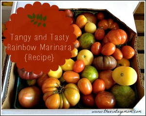Tangy and Tasty Rainbow Marinara Sauce {Recipe}
