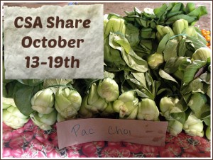 CSA Weekly Meal Plan Oct. 13-19th