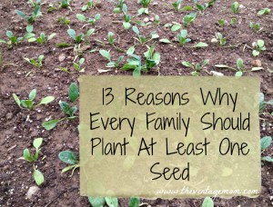 13 Reasons Every Family Should Plant At Least One Seed
