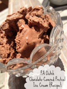 PA Dutch Chocolate Covered Pretzel Ice Cream Recipe And Scoop Adventures: The Best Ice Cream Of The 50 States {Review}