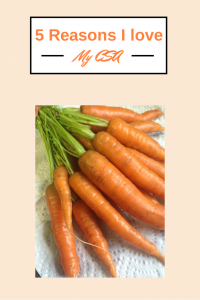 5 Reasons Why I Love My CSA