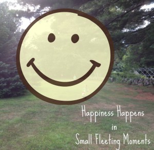 Happiness Happens In Small, Fleeting Moments