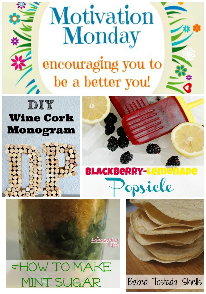 motivation-monday-linky-party-102-1a