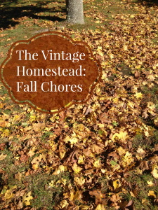 The Vintage Homestead: Fall Chores