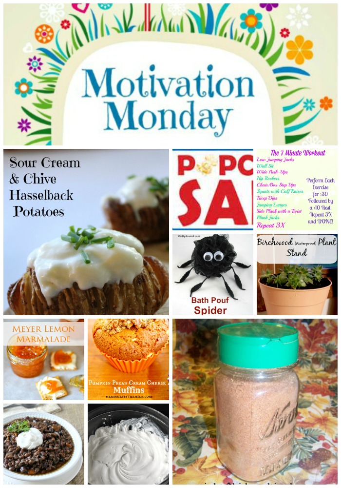 motivation-monday-linky-party-111
