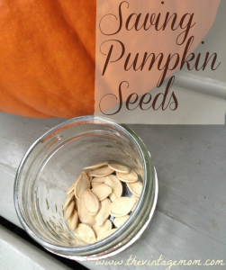 Saving Pumpkin Seeds to Plant – A How-To